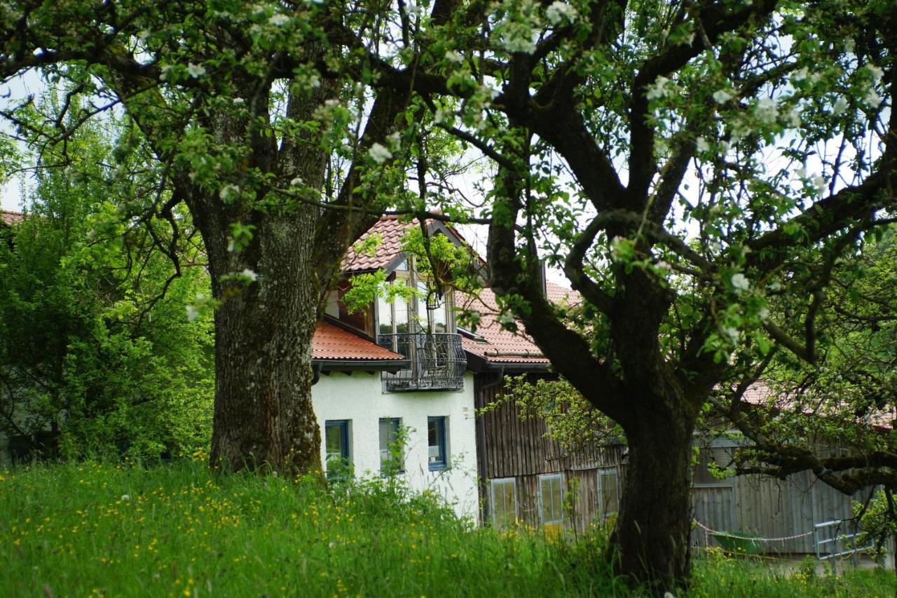 Moosmuehle Allgaeu Untrasried Exterior photo